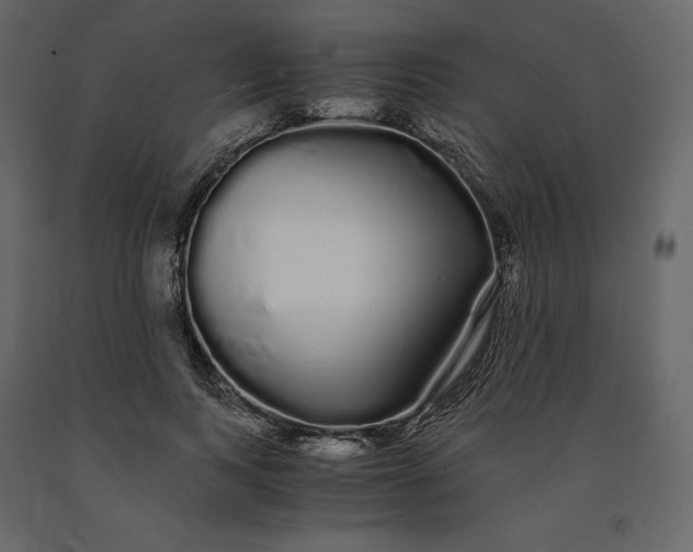 X0000091240743200708231717