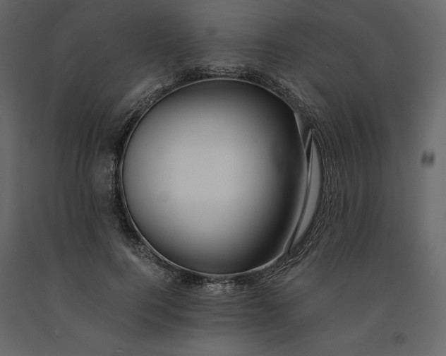 X0000091240744200708231717