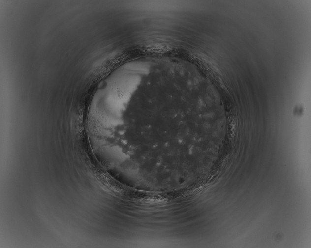 X0000091240745200708231717