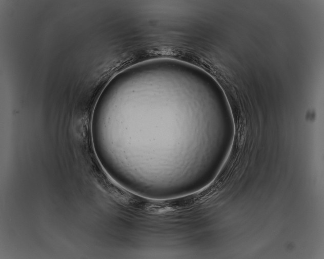 X0000091240747200708231717
