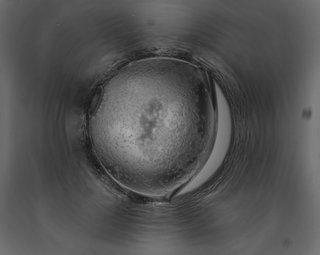 X0000091240748200708231717