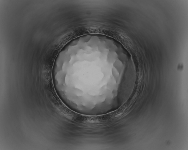 X0000091240749200708231717