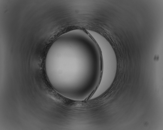 X0000091240750200708231717