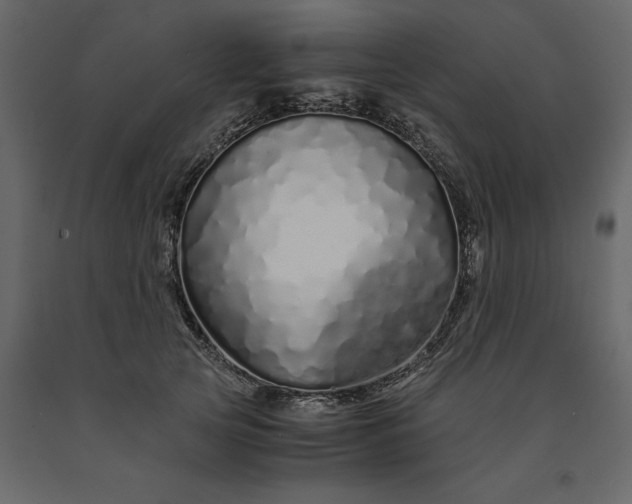 X0000091240753200708231717