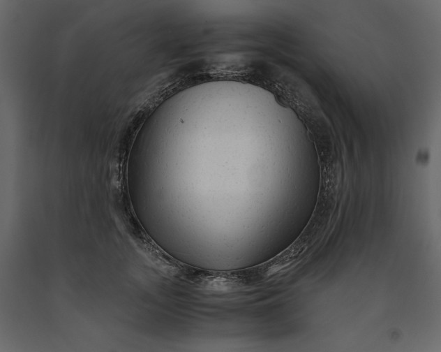 X0000091240755200708231717