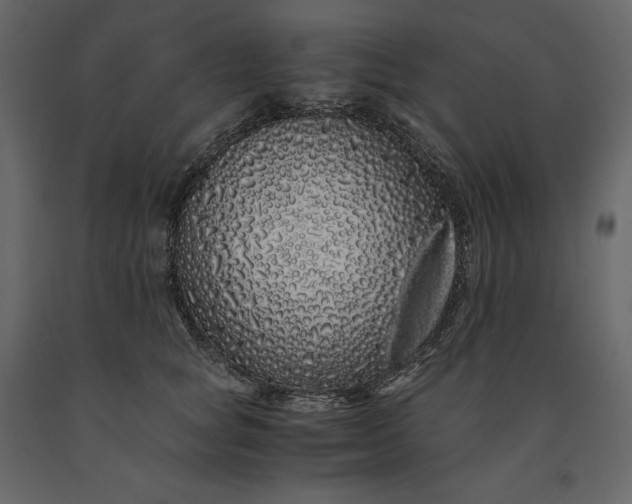 X0000091240757200708231717