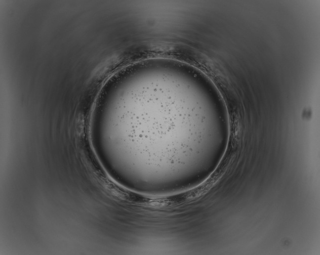 X0000091240758200708231717