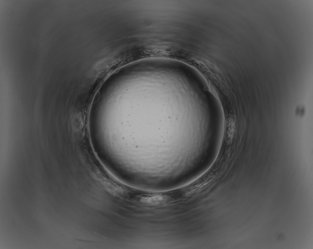X0000091240759200708231717