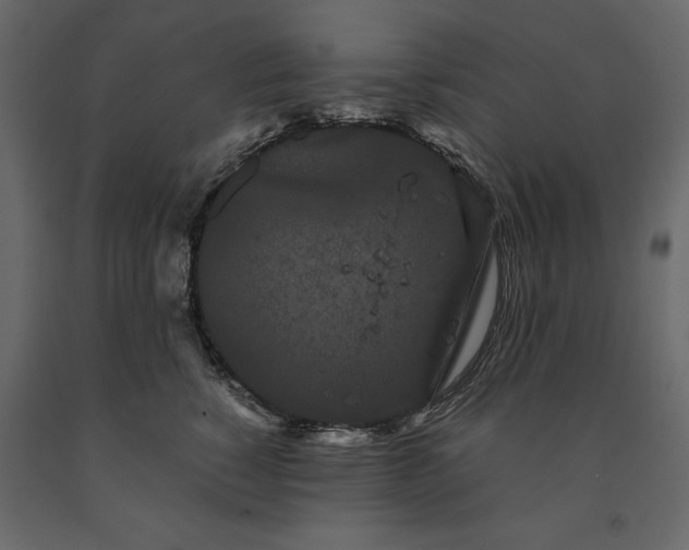 X0000091240760200708231717