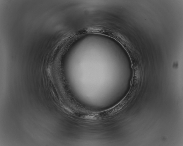 X0000091240761200708231717