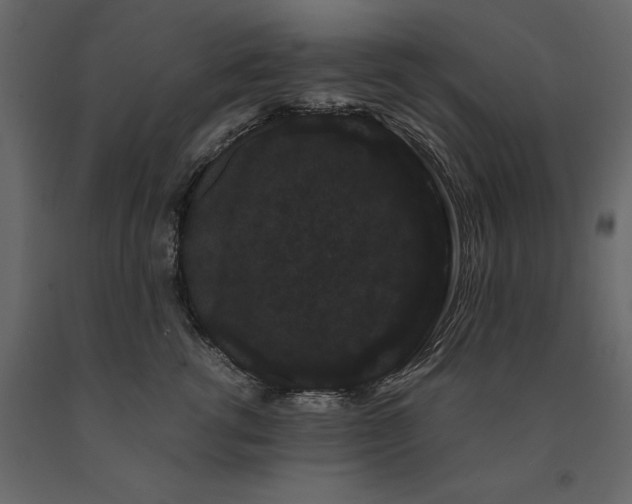 X0000091240762200708231717
