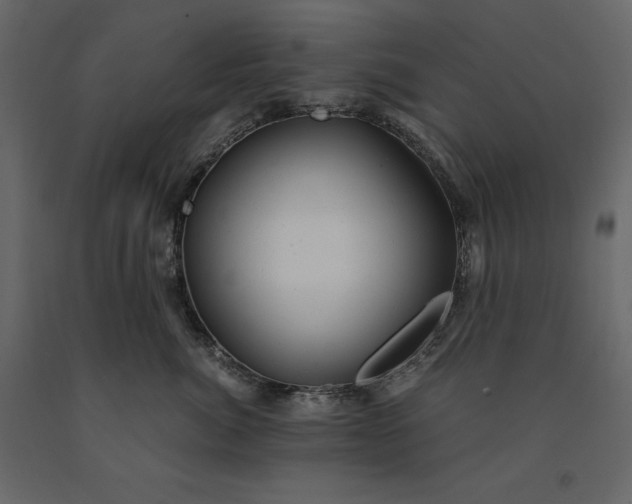 X0000091240764200708231717