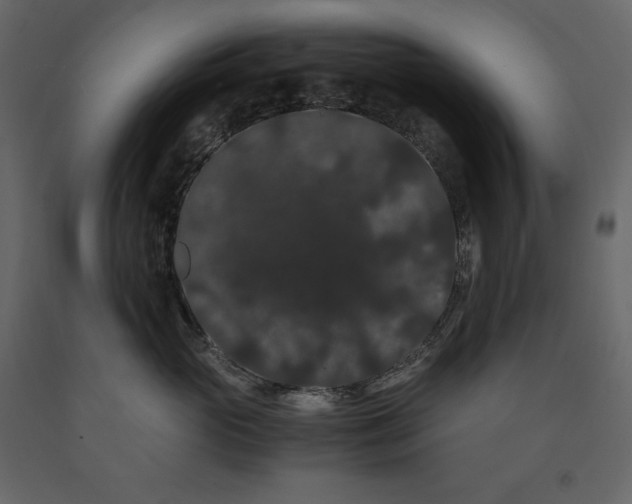 X0000091240765200708231717