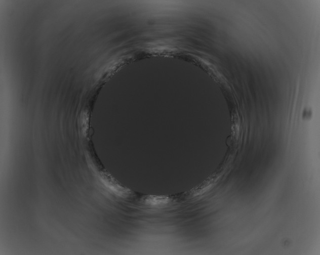 X0000091240767200708231717