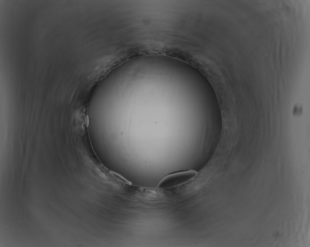 X0000091240768200708231717