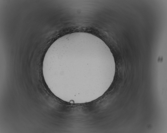 X0000091240769200708231716