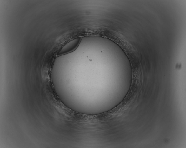 X0000091240770200708231716
