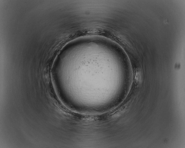 X0000091240771200708231716