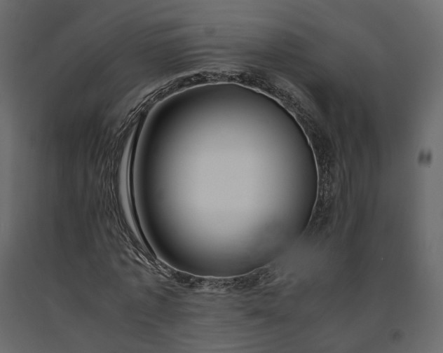 X0000091240773200708231716