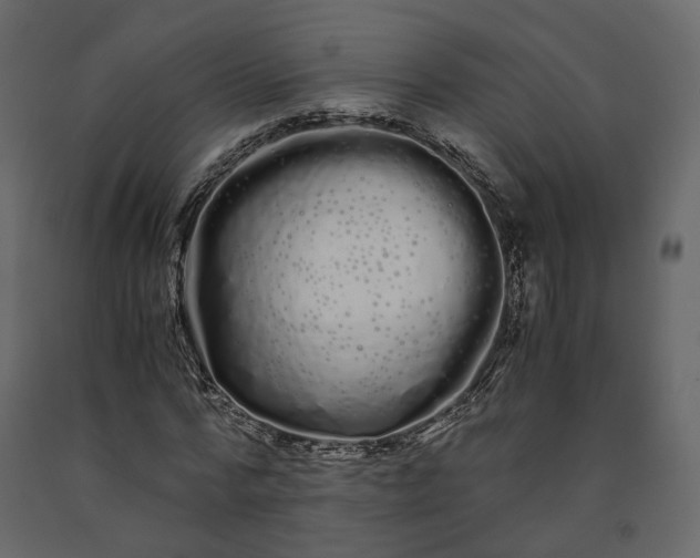 X0000091240776200708231716
