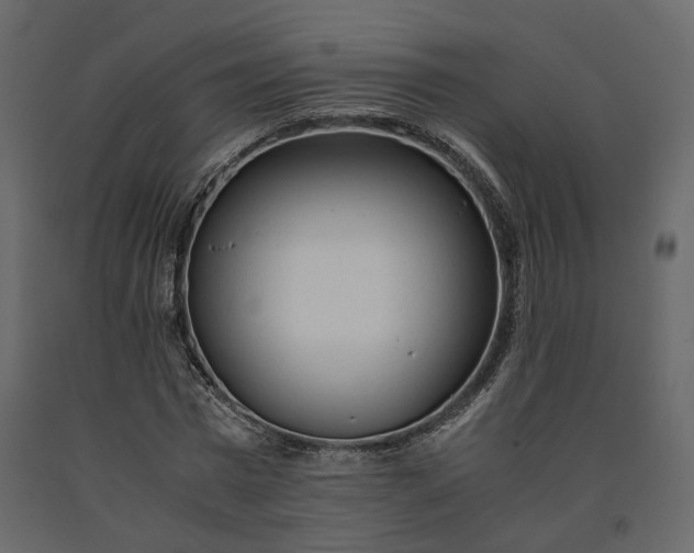 X0000091240777200708231716