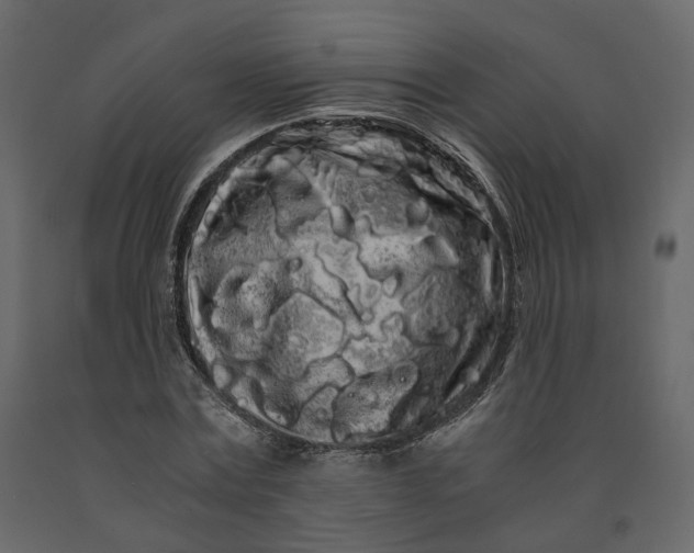 X0000091240779200708231716