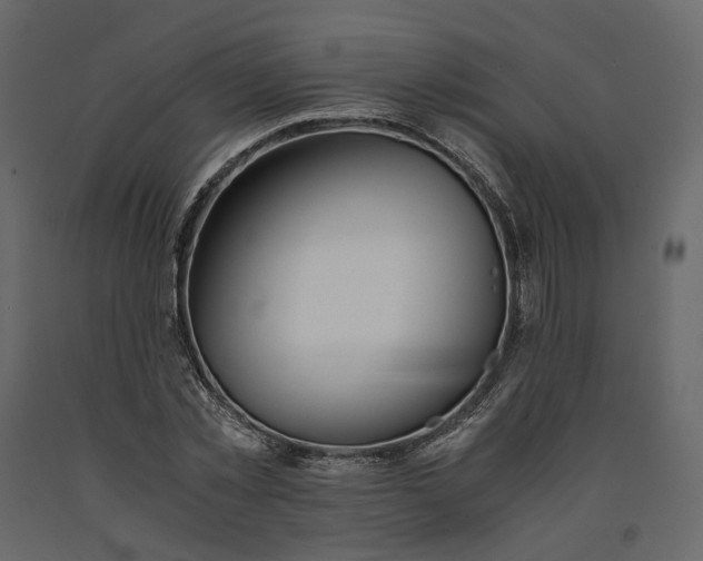 X0000091240781200708231716