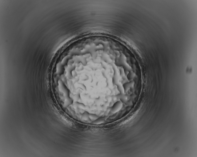 X0000091240782200708231716