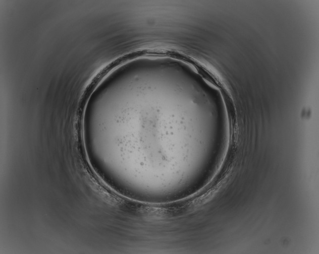 X0000091240783200708231716