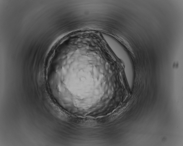 X0000091240784200708231716