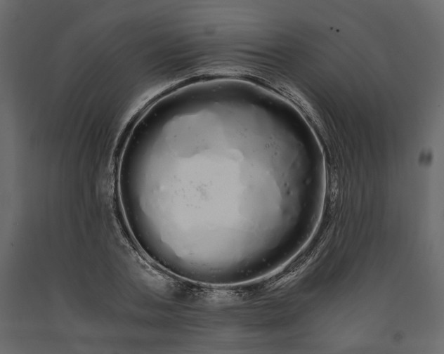 X0000091240787200708231716