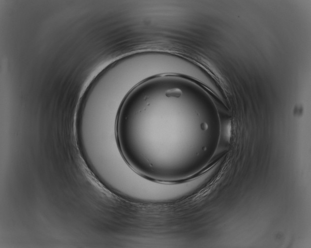 X0000091240788200708231716