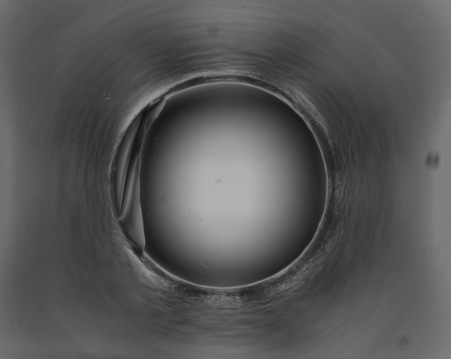 X0000091240789200708231716