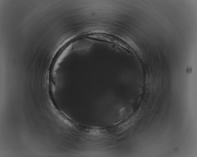 X0000091240790200708231716