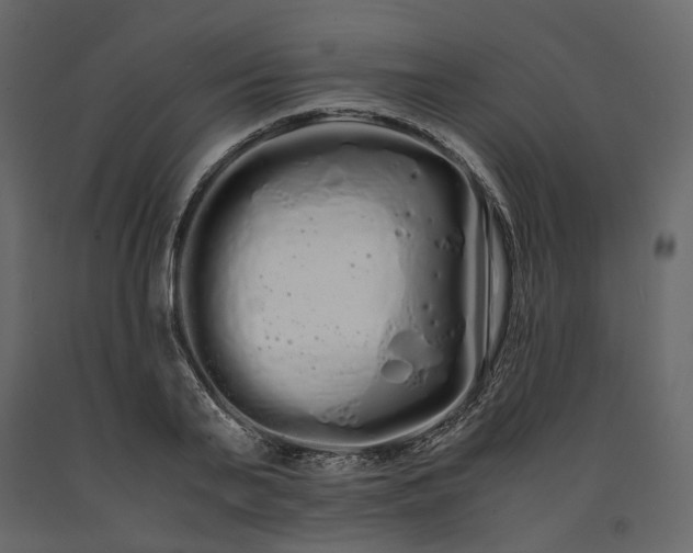 X0000091240791200708231716