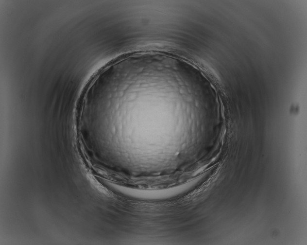 X0000091240792200708231716