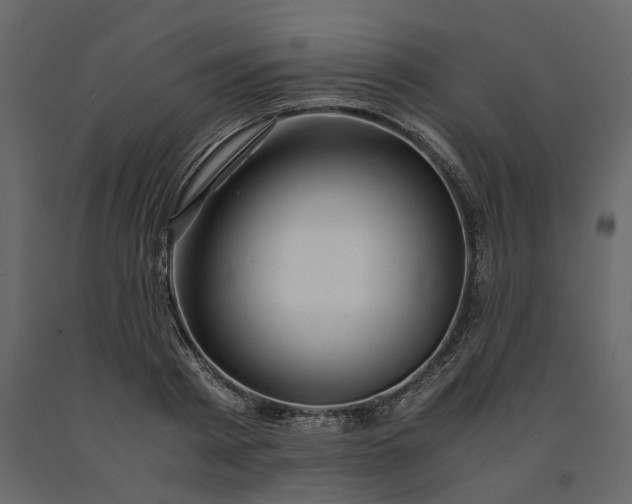 X0000091240793200708231716