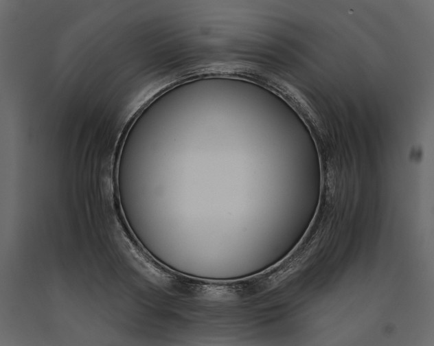 X0000091240794200708231716