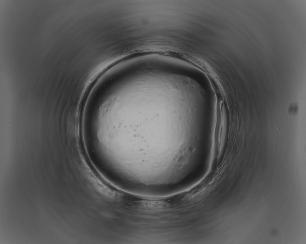 X0000091240795200708231716