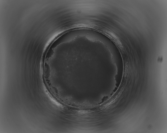 X0000091240796200708231716