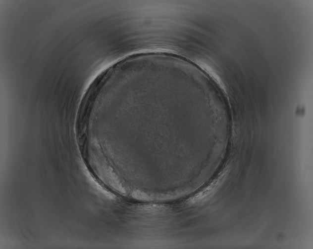 X0000091240797200708231716