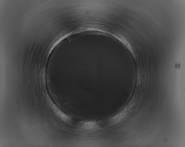 X0000091240798200708231716