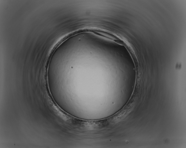 X0000091240799200708231716