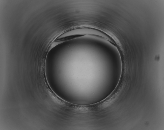 X0000091240801200708231716