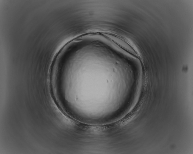 X0000091240803200708231716