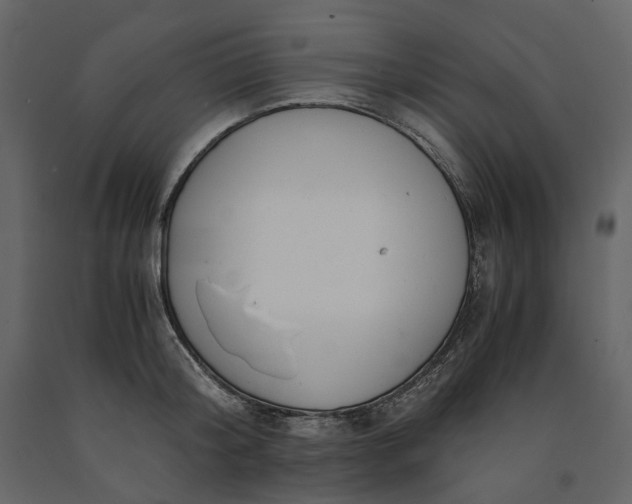 X0000091240804200708231716