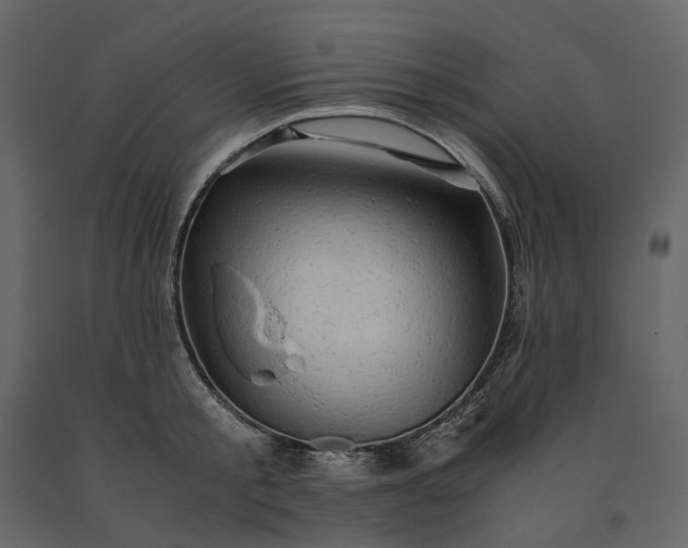 X0000091240805200708231716