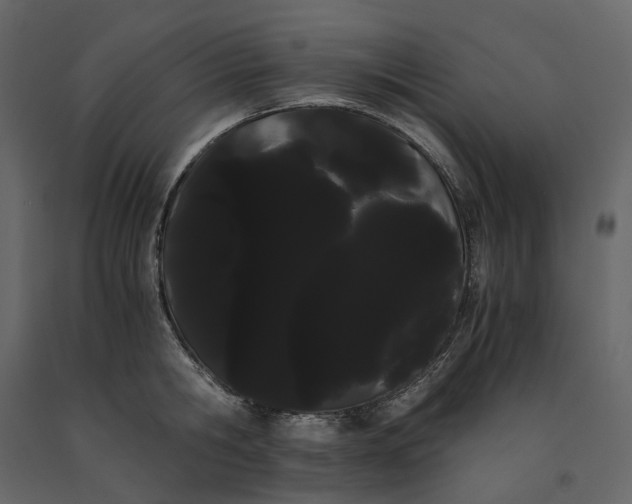 X0000091240806200708231716