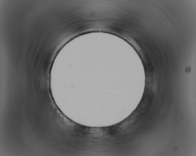 X0000091240807200708231716