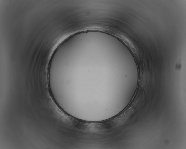 X0000091240808200708231716
